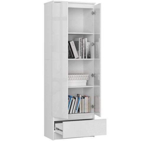 REGAŁ ZAMKNIETY R60 2D 1SZ CLP PK BIAŁY/ BIAŁY POŁYSK